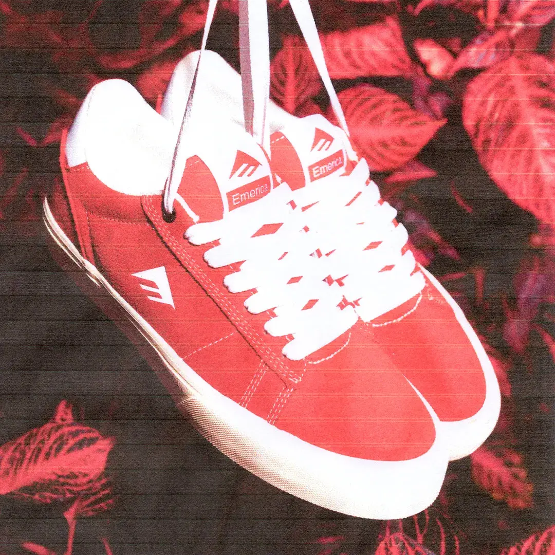 Thumbnail 12